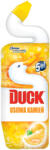 DUCK Toalett tisztító gél DUCK citrus 750 ml