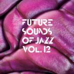 V/A Future Sounds Of Jazz Vol. 12