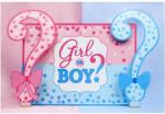 Flippy Banner pentru Petrecere, Flippy, Model Girl or Boy, Tematica Gender Reveal, 150 x 100 cm, Albastru Roz (131216)