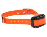 Dogtrace Zgarda pentru un alt câine d-control professional mini