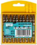 Detoolz Set 10 biti impact dubli PH2 65 mm Cr-V magnetici Detoolz (DZ-CC3084-G01)