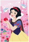 Global Licence Srl Disney Hercegnők polár takaró - 100 x 150 cm - 2