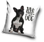 Global Licence Srl Francia bulldog párnahuzat 40x40 cm