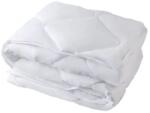 Inter-widex Koldra calorica Inter Widex SEN DOBRY 135x200cm, 800g, fehér (SDSDKP135x200B800g)