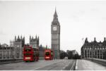 Media Falmatrica Westminster Palace, 250 x 200 cm (FOTOTAP14410)