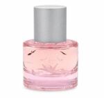 Mexx Summer Daydream Eau de Toilette femei 20 ml Parfum