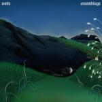 Weite - Assemblage (Limited Edition) (LP) (4046661768718)
