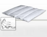  Gyógypárna bordás tápárna S6 gyopár - plazapatika