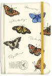 Fridolin Agenda Fluturi, Fridolin (Fr_68010)
