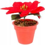 Goliat Poinsecia cserépben 13cm Piros Kész Karácsonyi Dekoráció (XY15-739])