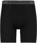 Icebreaker Мъжко мериносово термобельо Icebreaker Anatomica Long Boxers Merino base layer - Black II - размер XL (015-1797-0314)