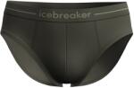 Icebreaker Мъжко мериносово термобельо Icebreaker Anatomica Briefs Merino base layer - Dark Loden (015-0434-3311)