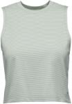 Black Diamond Дамски потник с широка презрамка Black Diamond Women's BD Stripe Tank Tank top - Agave / Alloy (916-3676-0113)