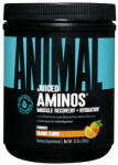 Universal Nutrition Animal Juiced Aminos - Aminosav Mátrix por (368 g, Narancs)