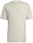 adidas Terrex Мъжка спортна тениска adidas Terrex XPR Tee Sport shirt - Wonder Alumina (216-7562-0313)