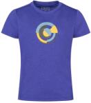Trollkids Детска спортна тениска Trollkids Kid's Sognefjord T-Shirt Sport shirt - Ultramarine - размер 164 (EU) (704-3772-0719)
