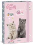 Ars Una Füzetbox ARS UNA A/4 Cute Animals-Tea Party (50855322) - tonerpiac
