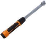 Beta Cheie dinamometrică BETA 471mm 40-200Nm 1/2 pătrat (666/20)