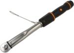 Beta Cheie dinamometrică 3/8" 20-100Nm (006664010)