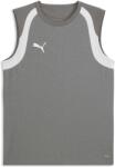 PUMA Teamfinal 26 Training Jersey (65967813)