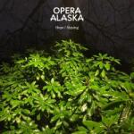 Opera Alaska - Hope / Staying (Numbered) (Yellow Coloured) (7") (9507148598594)