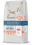 Quattro Super Premium ADULT SALMON kutyatáp 12kg - lunala-pet
