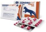 Bioiberica Condrovet Force HA pisica, 1 cp(*45 cp/flacon)
