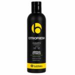 BUBBLES Citrofresh Shampoo Aromă Fresh De Citrice 250ml (tpc-1006)