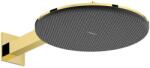 Hansgrohe Raindance Alive S 2jet Polished Gold (24541990)