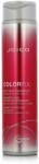 Joico Colorful Anti-Fade Shampoo 300 ml - parfimo
