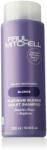 Paul Mitchell Blonde Platinum Violet Shampoo 300 ml
