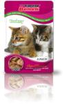 Super Benek SUPER BENEK Junior Cat пакетче с парченца пуйка 100 г