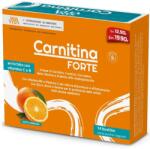 Paladin Pharma Sanavita Carnitine Forte, 14 plicuri, Paladin Pharma