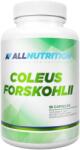 ALLNUTRITION Coleus Forskohlii, 90 capsule, AllNutrition