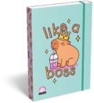 LOLLIPOP Füzetbox A4 zöld Lollipop Capybara mintás gumizáródással TICFBLCBA4 (TICFBLCBA4)
