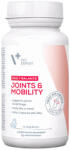 VetExpert VET EXPERT Joints&Mobility, supliment sistem articular câini, capsule VET EXPERT Joints&Mobility, XS-XL, supliment sistem articular câini și pisici, flacon, 30 capsule