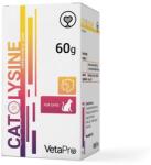 VETAPRO Cat Lysine 60g Supliment Nutritional Pisici - petspoint