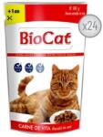 BIOCAT HRANA UMEDA PENTRU PISICI CU VITA IN SOS - 24 PLICURI x 100G