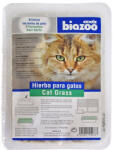 BIOZOO Iarba Pisicii