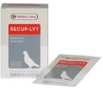 Versele-Laga Vl Oropharma Recup-lyt 240g (12plx20g)
