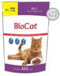 BIOCAT HRANA UMEDA PENTRU PISICI CU RATA IN SOS - 22 PLICURI x 100G