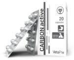 VetaPro Carbon Active 250mg 20caps/cut Suport Gastrointestinal Caini Si Pisici