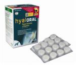 Pharmadiet SUPLIMENT PENTRU CAINI DE TALIE MARE HYALORAL (BLISTER x 12TABLETE)