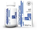 VetaPro Senophtan 60caps/cut Sanatate Neurologica Caini Seniori