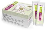 DECHRA TRATAMENT INSUFICIENTA RENALA LA PISICI PORUS ONE 30x500MG