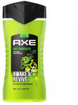 AXE tusfürdő 250 ml Anti Hangover