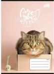 Corwell Cool by Victoria: Cats Forever тетрадка на редове, формат A5, различни видове (ISVFC113)