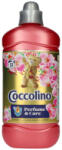 Coccolino öblítőkoncentrátum 1275 ml Honeysuckle& amp; Sandalwood