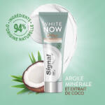 Signal White Now Detox Mineral Clay & amp; Coconut Extract fogkrém 75 ml (69663686)