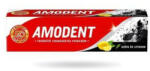 Amodent fogkrém 100 ml Aktív szén